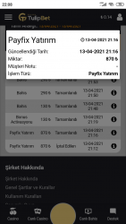 Screenshot_2021-04-13-22-08-15-954_com.android.chrome.png