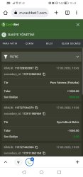 Screenshot_20230317_154338_com.android.chrome.jpg