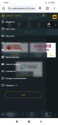 Screenshot_2024-04-22-19-43-00-570_com.android.chrome.jpg