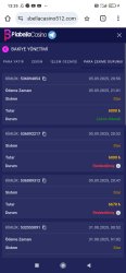 Screenshot_2025-09-06-13-35-12-636_com.android.chrome.jpg