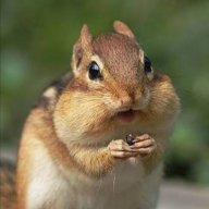 spartakusfb