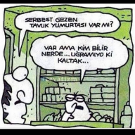 alevi24